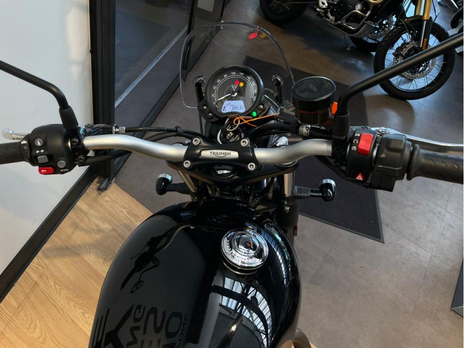 TRIUMPH SCRAMBLER 900 - BRIDEE A2 - 3900 KMS - OCTOBRE 2024 - 1 ERE MAIN
