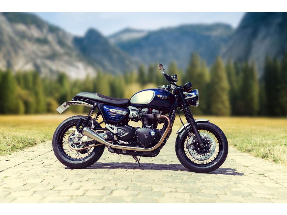 SPEED TWIN 2019
